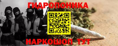 a pvp Котовск