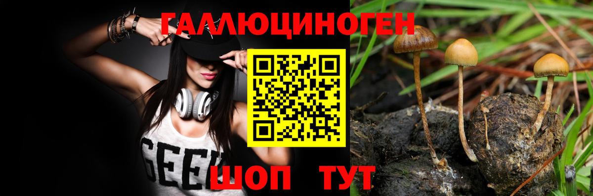Псилоцибиновые грибы прущие грибы  Галлюциногенные грибы Magic Shrooms  Городец  Вход с VPN 