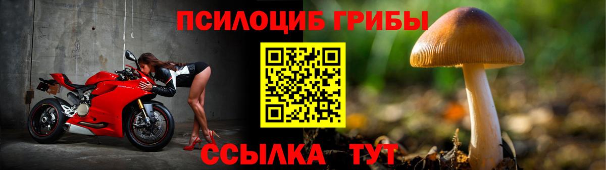 Псилоцибиновые грибы MAGIC MUSHROOMS Городец
